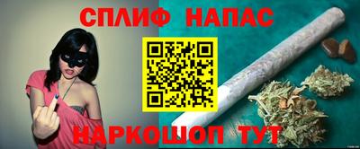 прущие крисы Будённовск