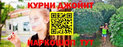 прущие крисы Будённовск