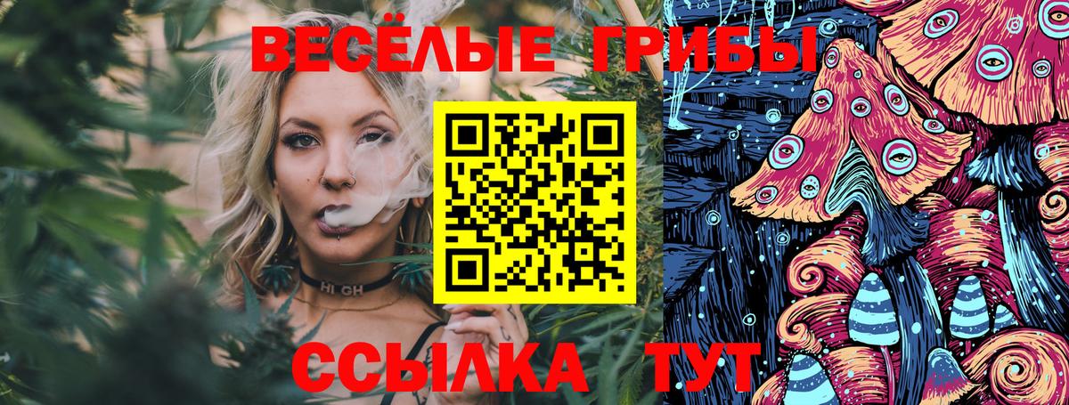 Псилоцибиновые грибы Psilocybine cubensis Новошахтинск