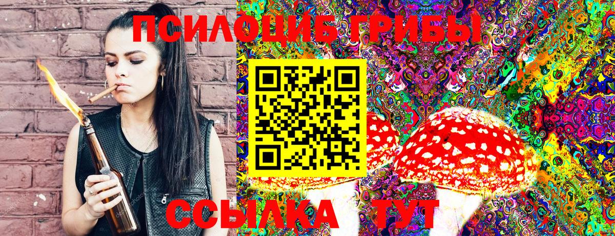 Псилоцибиновые грибы Cubensis  Псилоцибиновые грибы MAGIC MUSHROOMS  Новошахтинск  Вход с VPN 