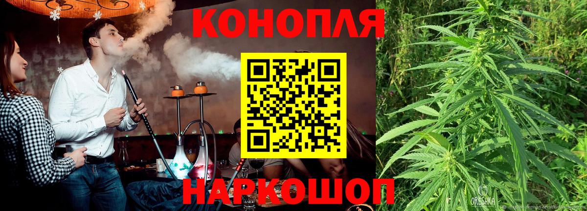 Каннабис сатива Новошахтинск